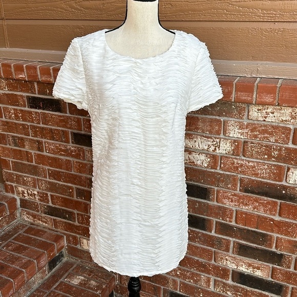 NWT Ark & Co White Raw Hem Ruffle Shift Dress Women's Size Small - Picture 1 of 8